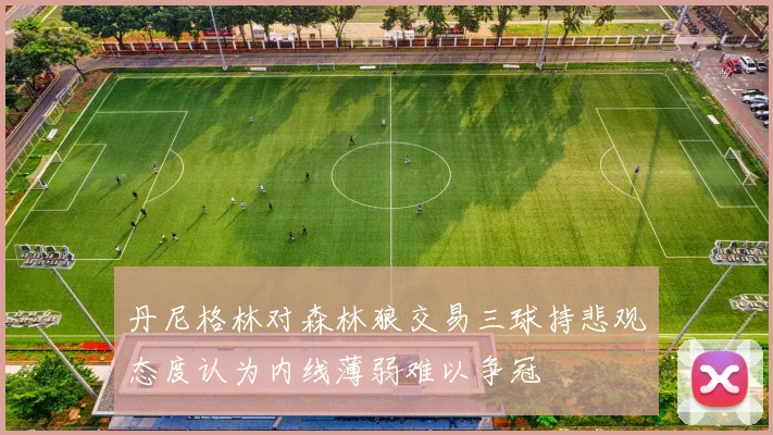 丹尼格林对森林狼交易三球持悲观态度认为内线薄弱难以争冠
